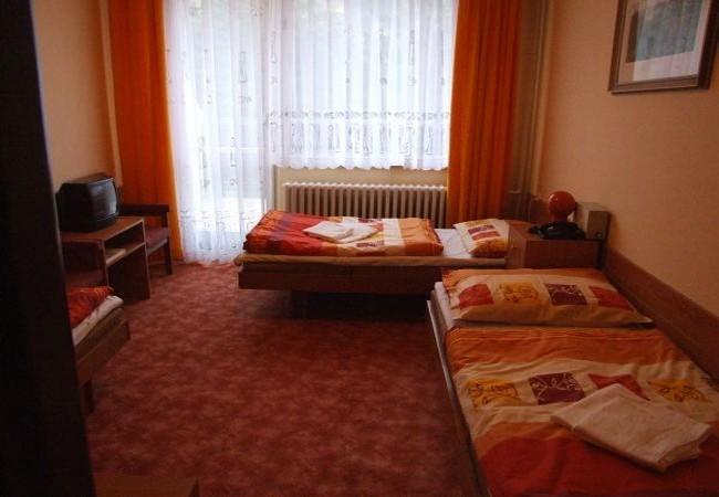 Hotel Petr Bezruc Frýdlant nad Ostravicí Zimmer foto